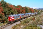 AC, Algoma Central Railway FP9s 1756-1750-1754-1755, with the southbound Agawa Canyon Tour train passing mp21, near Northland, Ontario. September 17, 1997. 